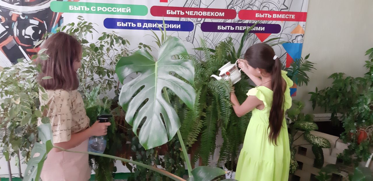 Растения и их роль в нашей жизни..